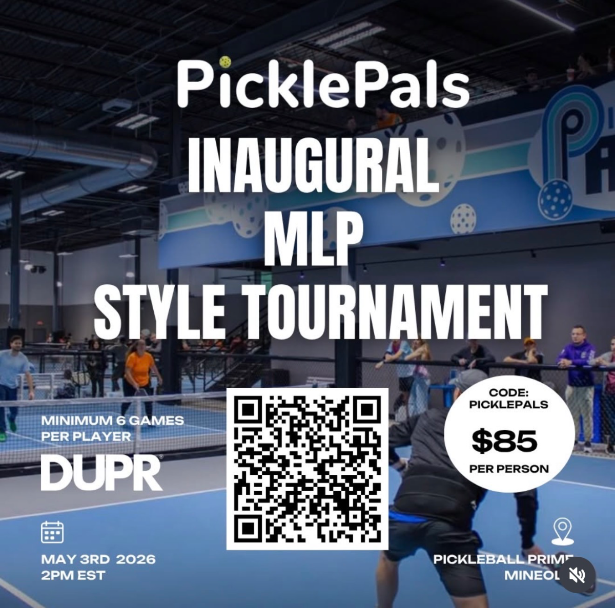PicklePal's Inaugural MLP Style Tournament